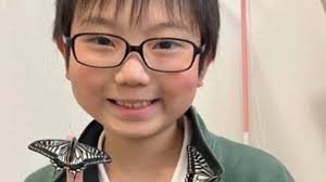 10-Year-Old Japanese Boy's Butterfly Research Surprises Scientists